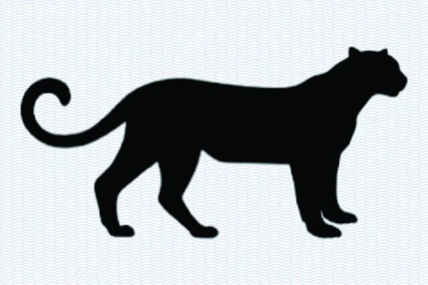 Panther