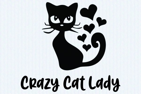 Crazy Cat Lady