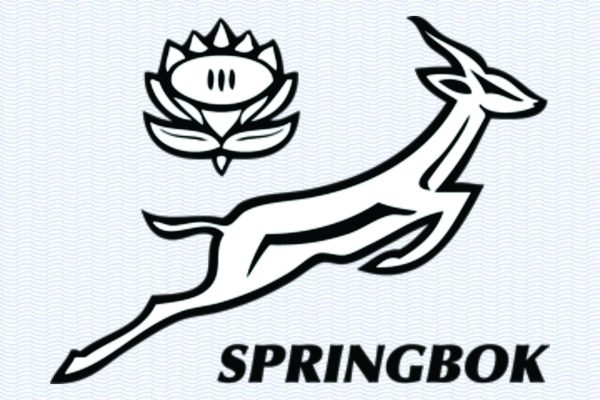 Springbok